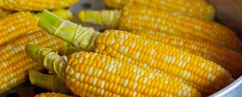 煮熟的玉米冷凍可以儲存多久