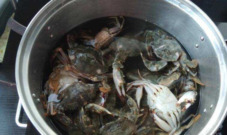 煮螃蟹的做法