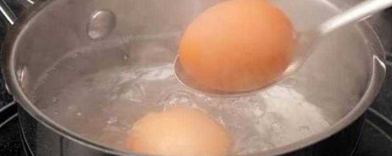 煮雞蛋需要多長時間