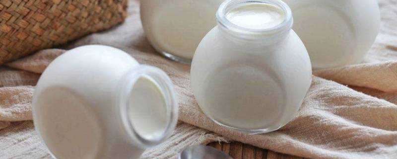 製作酸奶的是什麼菌