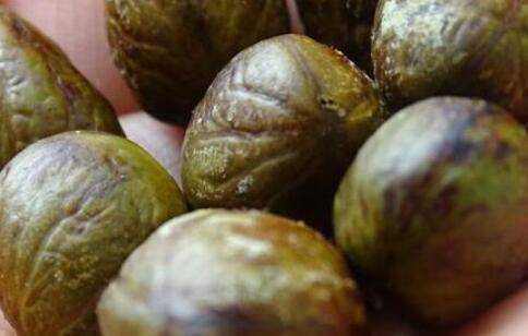 野生巖豆的吃法