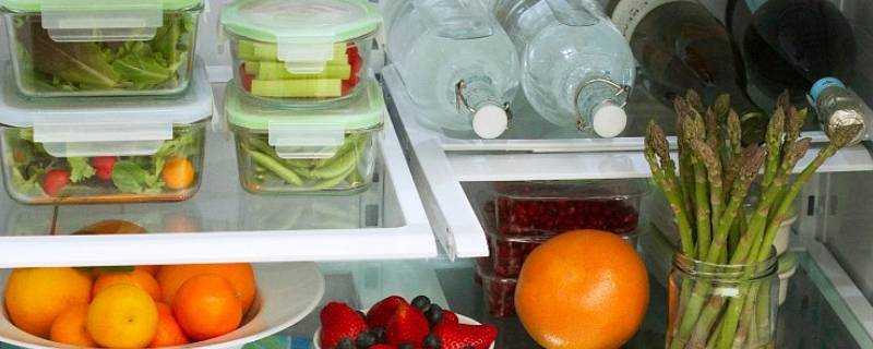 食物放在冰箱裡就不會壞了這種說法是