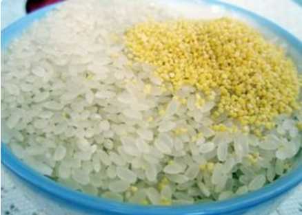 小米能蒸米飯嗎