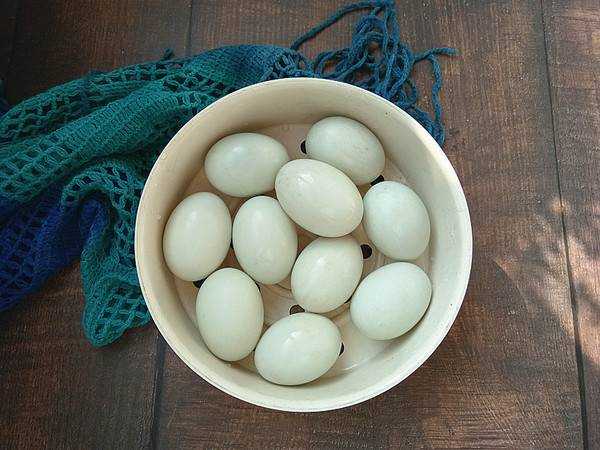 醃製鹹鴨蛋的最佳方法