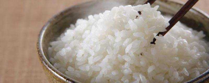 粳米和大米的區別