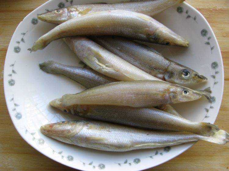 沙丁魚怎麼做好吃
