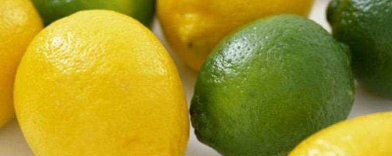 青檸檬和黃檸檬的區別