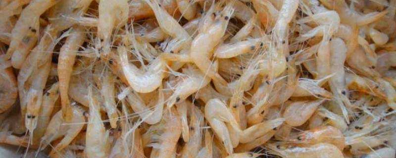蝦米怎麼做好吃