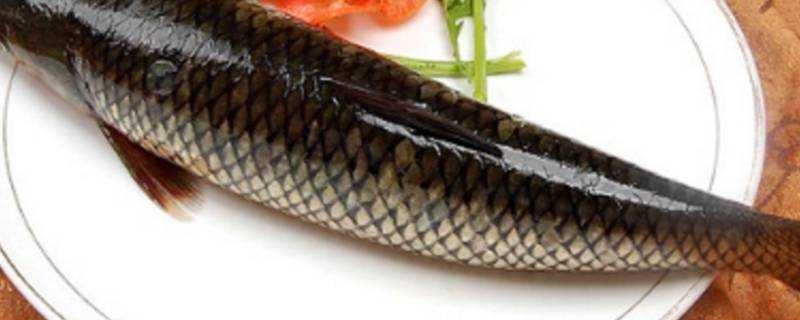 清蒸草魚怎麼做好吃