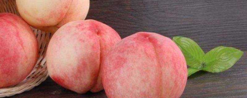 生桃子能吃嗎