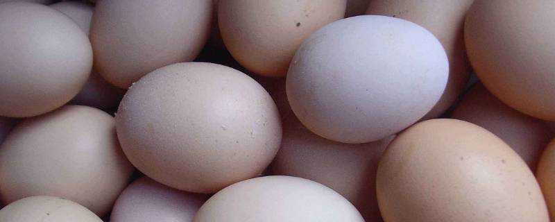 生雞蛋放冰箱可以放多久
