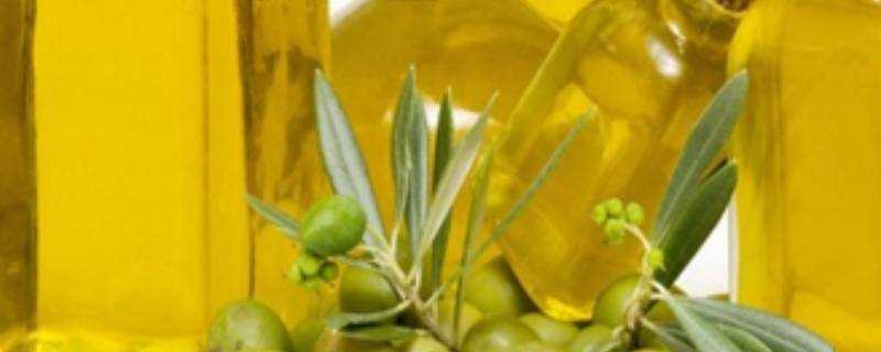 橄欖油過期三年還能吃嗎