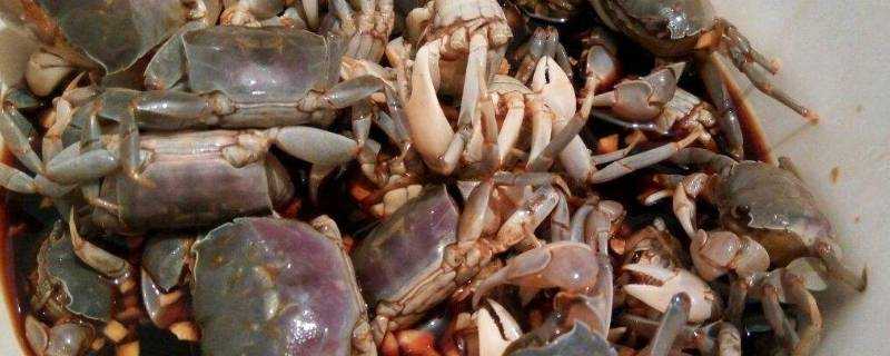吃生醃螃蟹注意事項