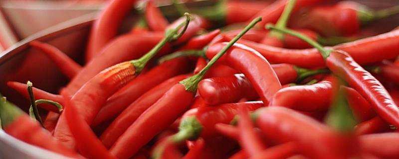 長期吃辣椒對身體有益還是有害