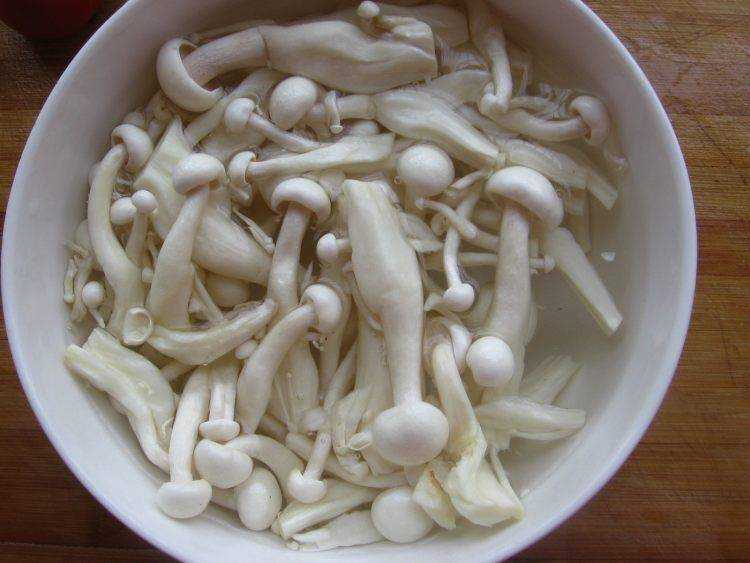 長條白蘑菇怎麼做好吃