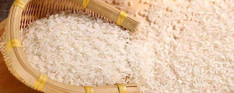 米保質期一般多久