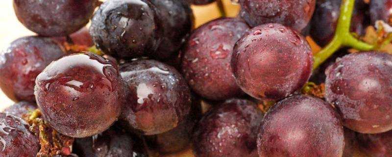生葡萄能吃嗎