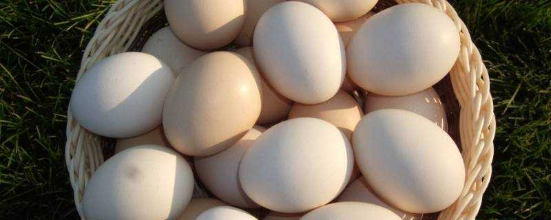 雞蛋可以做什麼美食簡單的