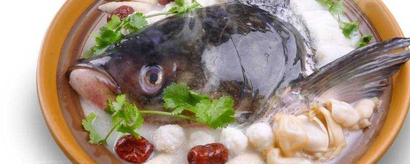 魚頭裡有小白石頭叫什麼