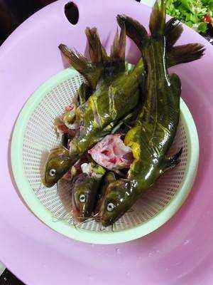 黃骨魚的做法怎麼做好吃