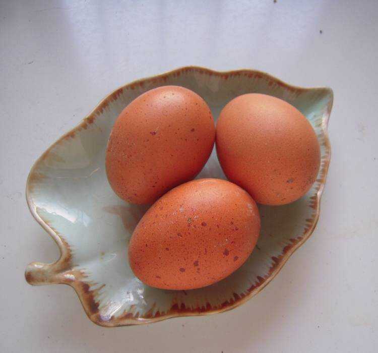 雞蛋怎麼做好吃又簡單家常菜