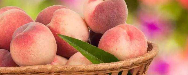 桃子儲存保鮮方法
