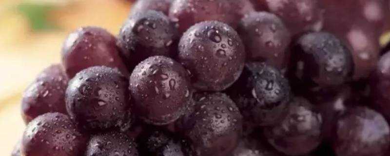 用麵粉洗葡萄起什麼作用