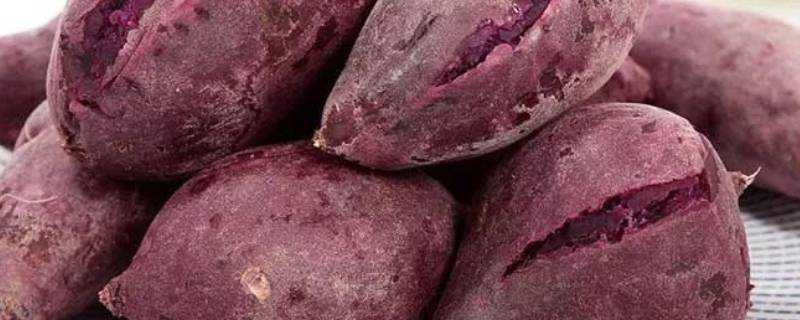 紫薯怎麼做好吃?