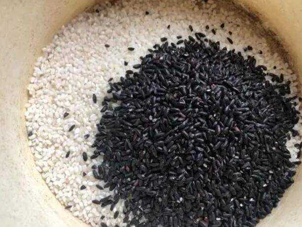 黑米飯怎麼蒸才能軟糯