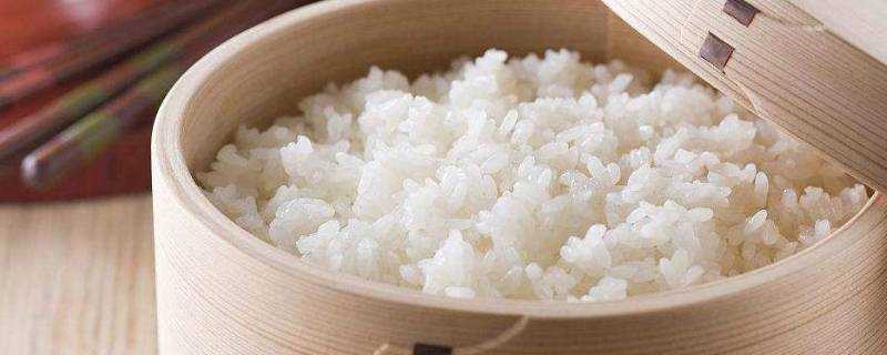 蒸米飯米水比例是1:2嗎
