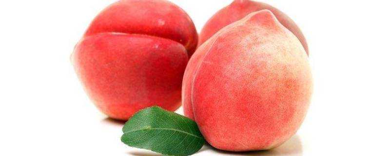 桃子味苦有毒嗎