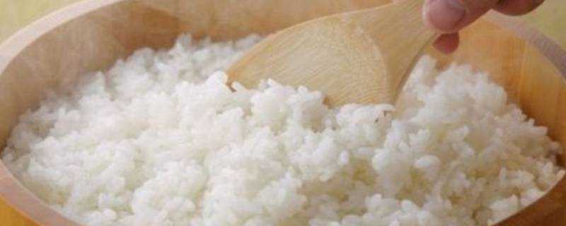 蒸箱蒸米飯多長時間