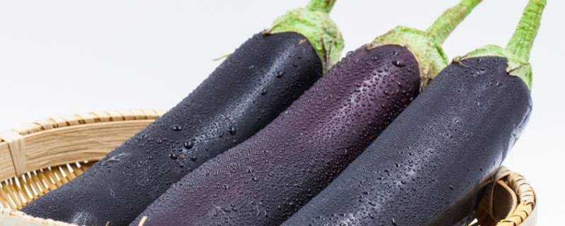 紫色細長茄子怎麼做好吃