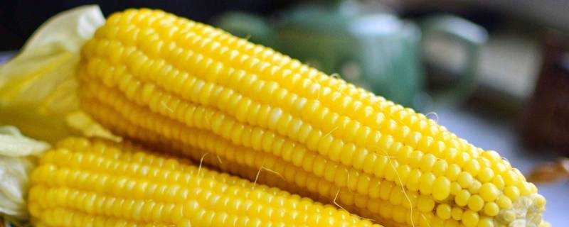 玉米可以當主食嗎