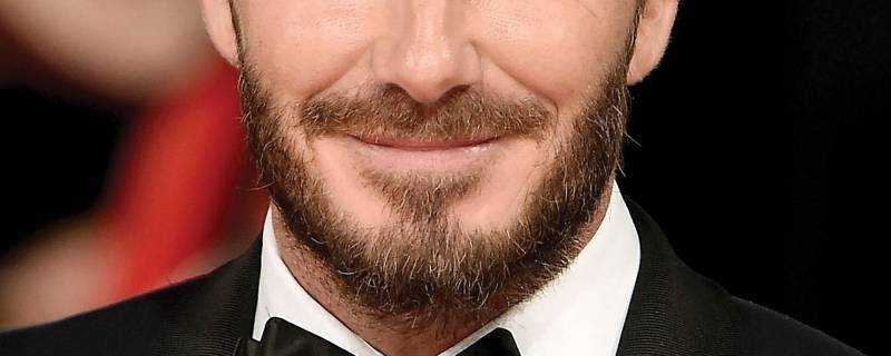 鬍子的種類