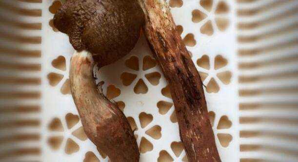 大腳菇怎麼做好吃