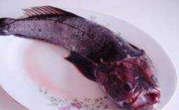 虎頭魚怎麼做好吃