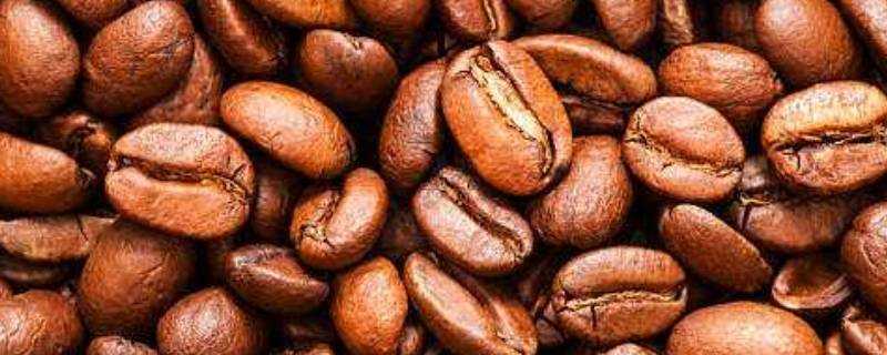 咖啡豆可以直接吃嗎