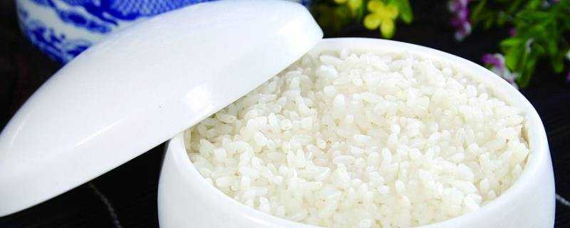 微波爐能蒸米飯嗎
