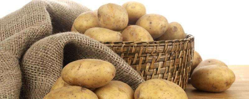 生土豆能吃嗎