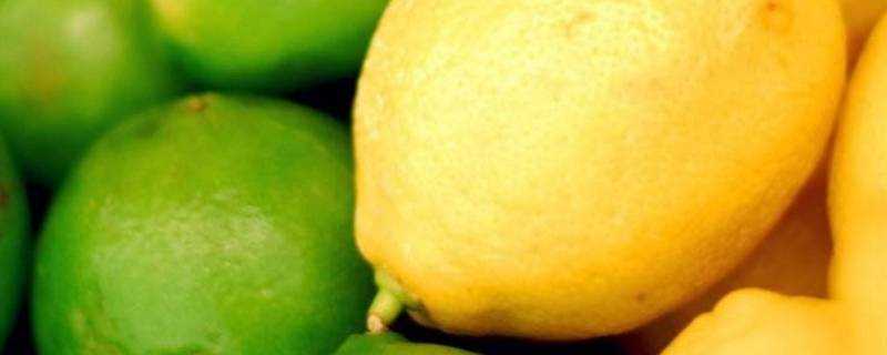 檸檬和青檸有什麼不同