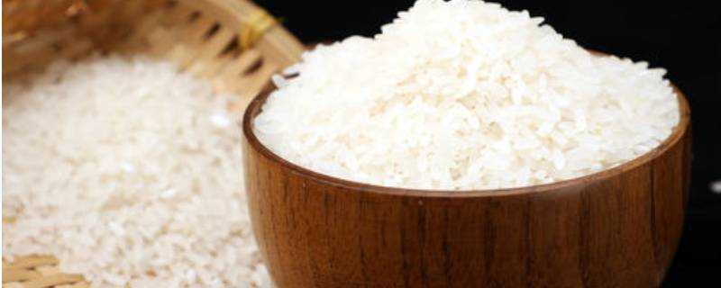 粳米是什麼米