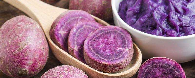 紫薯的營養價值及功效與作用