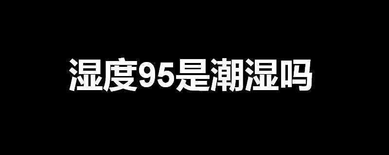 溼度95是潮溼嗎