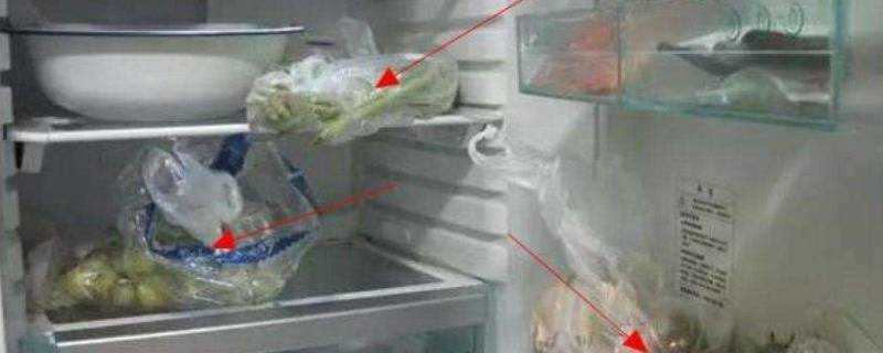 塑膠袋可以放冰箱嗎