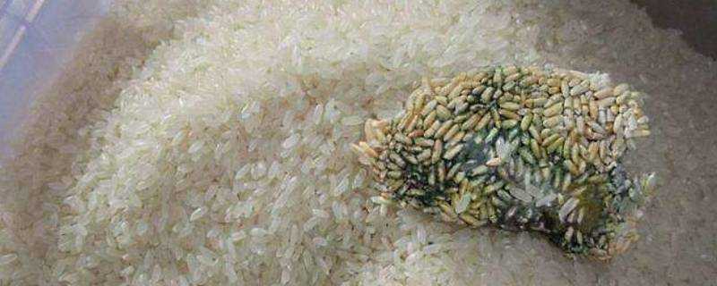 米發黴還能吃嗎