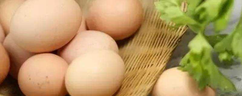 微波爐可以煮雞蛋嗎?