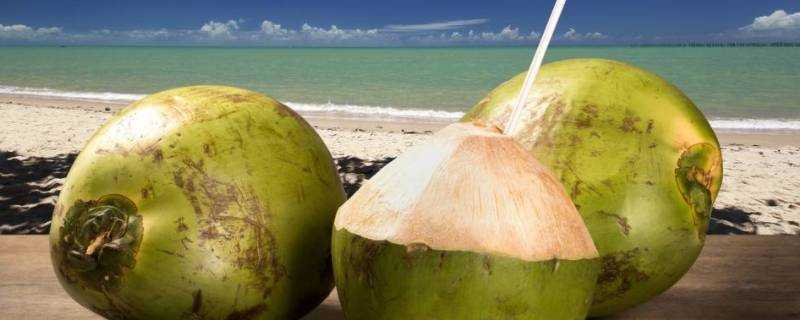 幹椰子怎麼開啟硬殼
