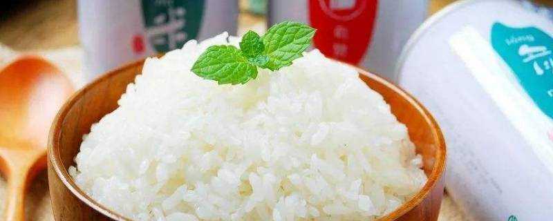 隔水蒸米飯多久能熟