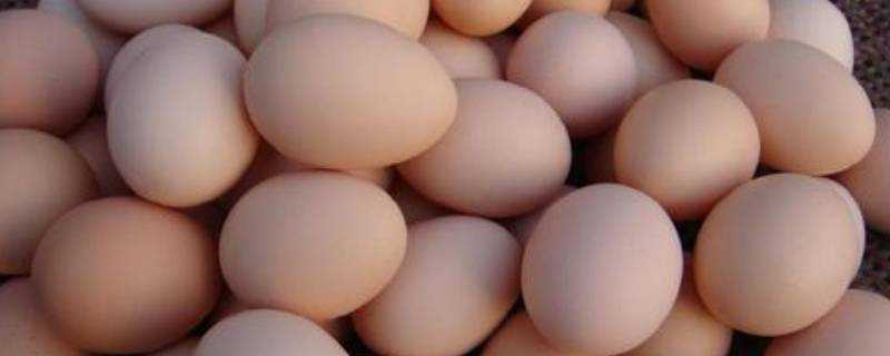 土雞蛋功效與營養價值